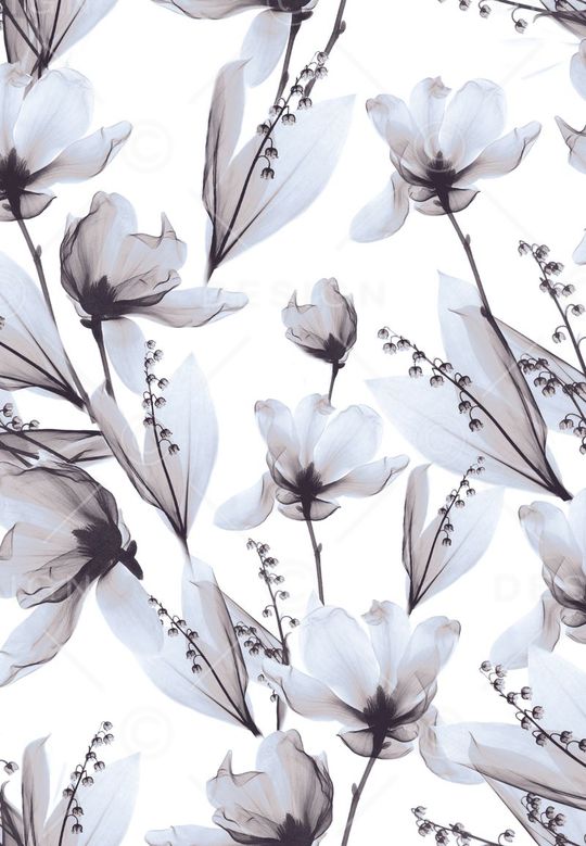 欧美印花华亿平台图片