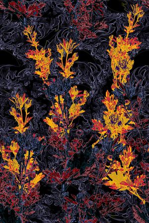 抽象印花华亿平台图片