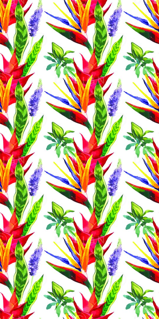 tropical印花华亿平台图片