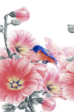 洋阳--定位印花华亿平台图片