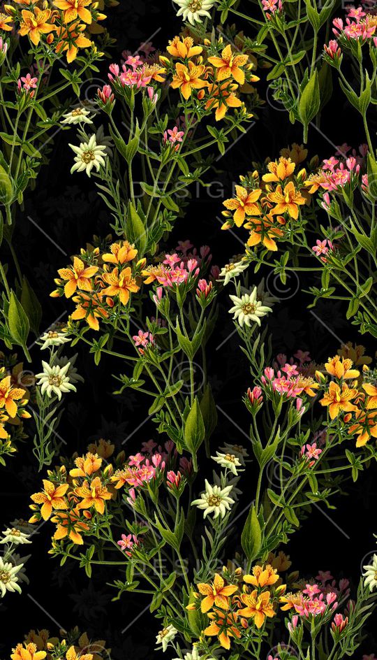 复古印花华亿平台图片