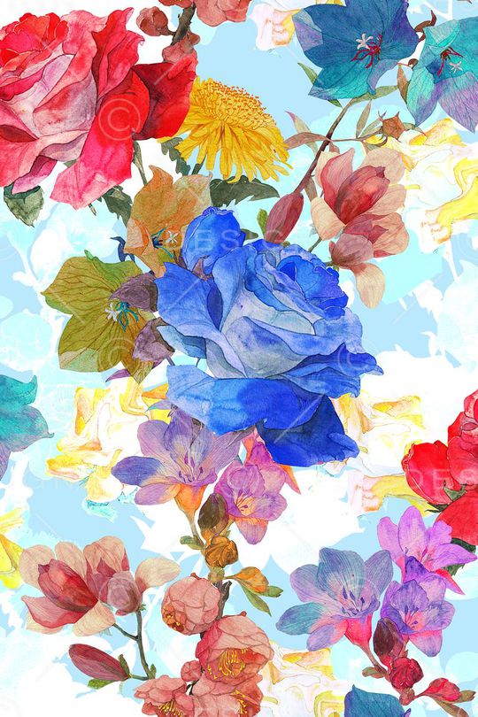 女装印花华亿平台图片