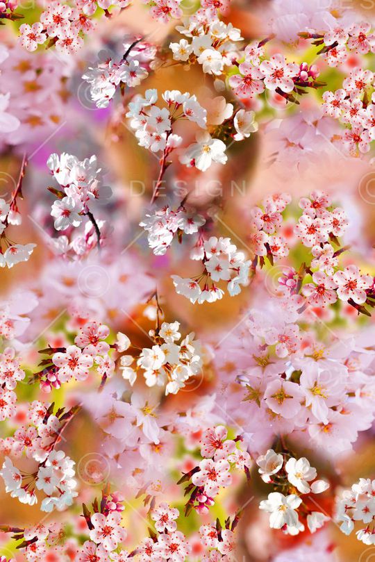 樱花印花华亿平台图片