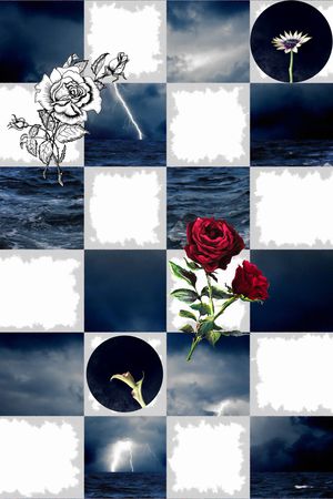 流行时尚印花华亿平台图片