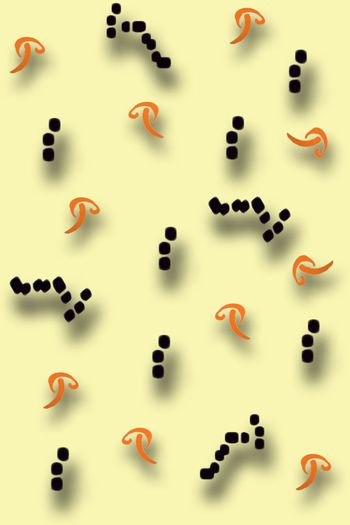 638906-抽象投影菇b