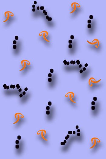 638907-抽象投影菇c