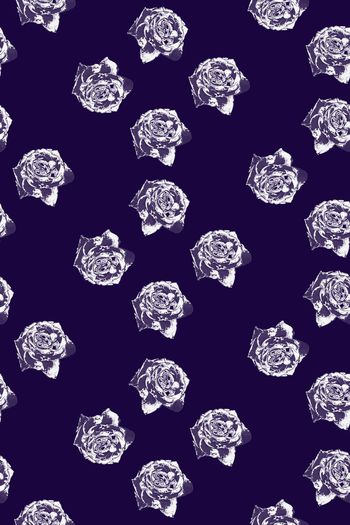 潮流印花华亿平台图片