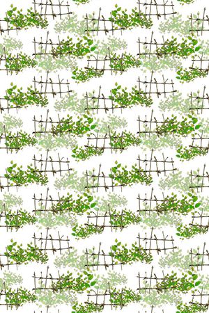 清新雅丽印花华亿平台图片