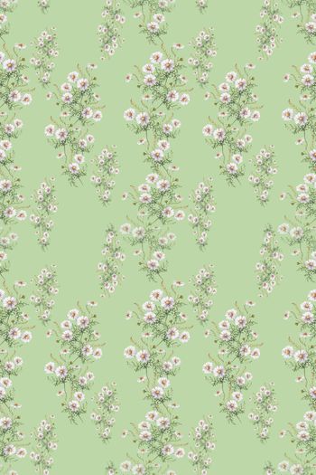 639081-160523-qx-5-1