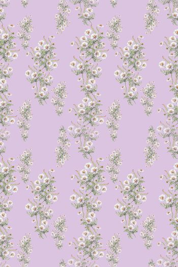 639082-160523-qx-5-2