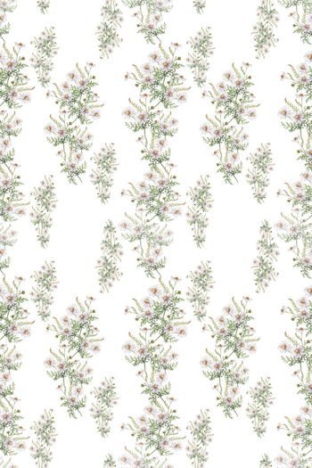 639083-160523-qx-5-3