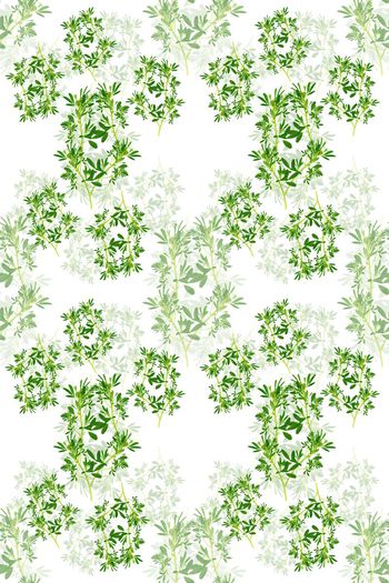 639086-160523-qx-6-1