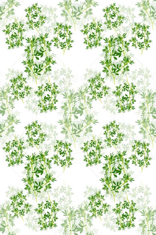 时尚清新印花华亿平台图片