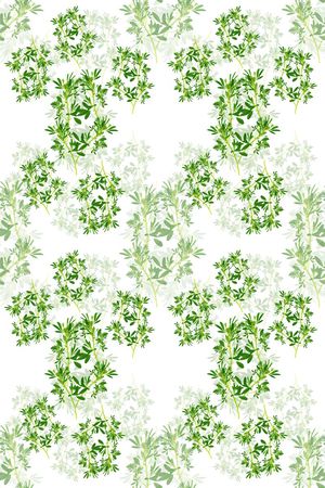 时尚清新印花华亿平台图片