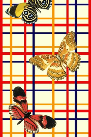 苏格兰格长巾印花华亿平台图片