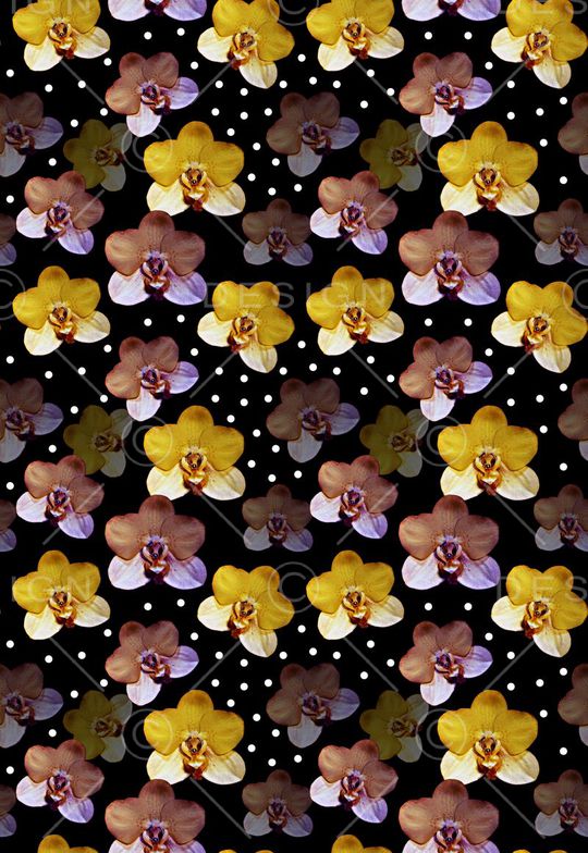 蝴蝶兰印花华亿平台图片