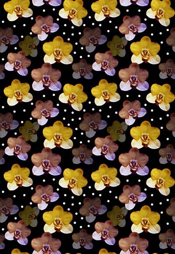 639219-蝴蝶兰波点时尚女装华亿平台