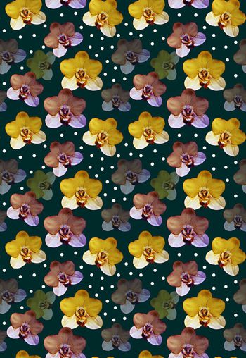 639220-蝴蝶兰波点时尚女装华亿平台2