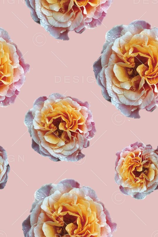 牡丹印花华亿平台图片