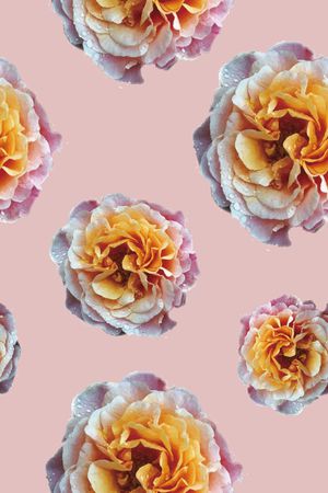 牡丹印花华亿平台图片