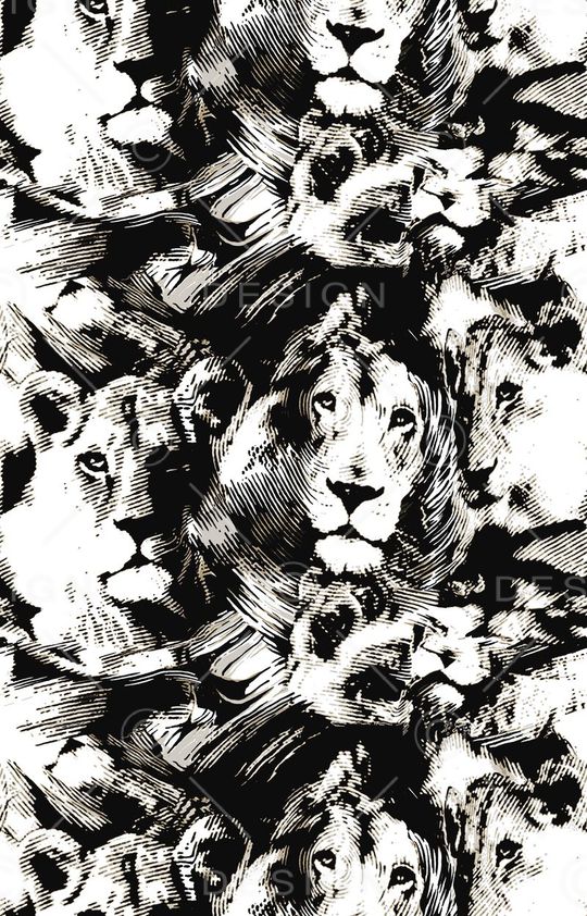 连衣裙大衣印花华亿平台图片