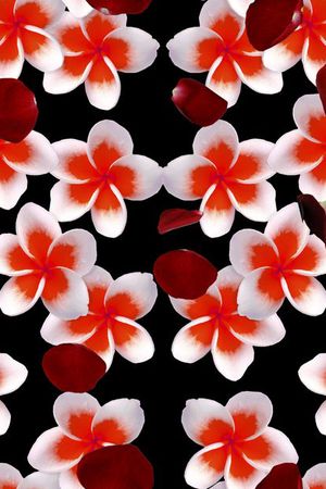 欧美印花华亿平台图片