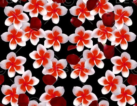 欧美印花华亿平台图片