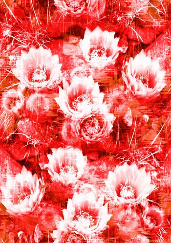 639296-时尚红色系仙人掌花卉