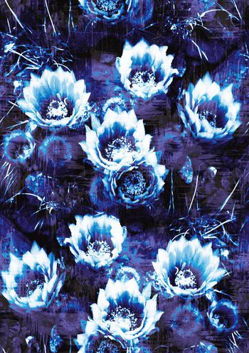 639297-时尚红色系仙人掌花卉-2