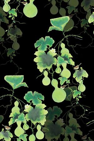 2017年春夏女装华亿平台印花华亿平台图片