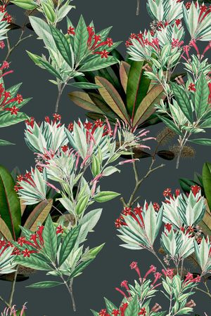 热带植物印花华亿平台图片