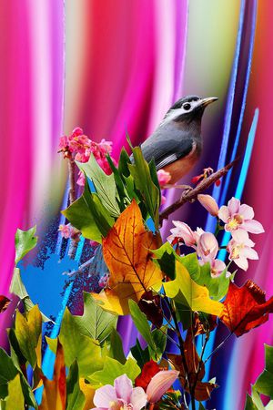 花朵印花华亿平台图片