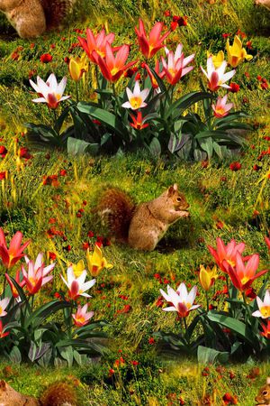 花朵印花华亿平台图片