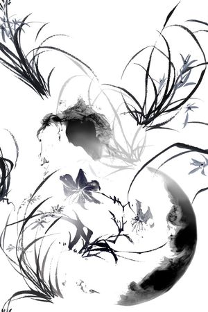 黑白花印花华亿平台图片