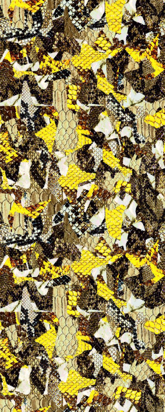 animal印花华亿平台图片