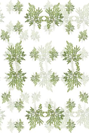 水彩花卉印花华亿平台图片