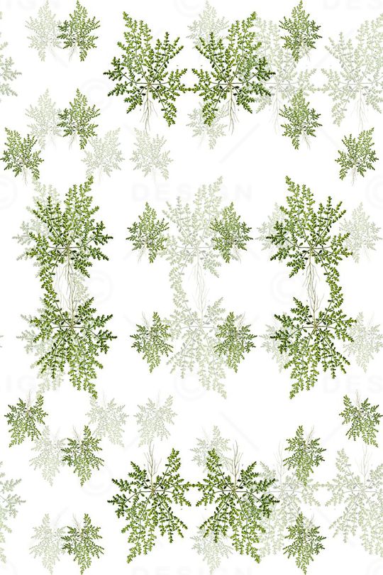 水彩花卉印花华亿平台图片