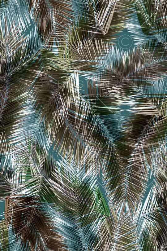 叶子印花华亿平台图片