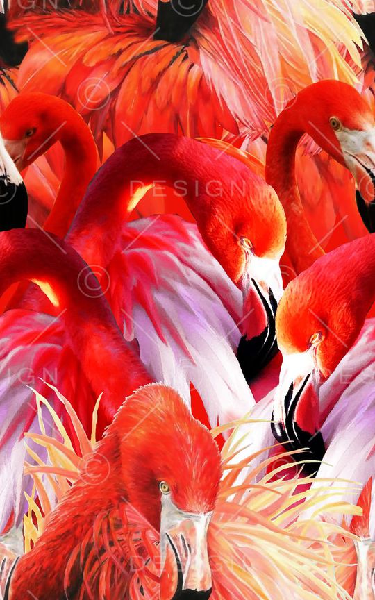 洋阳---动物纹印花华亿平台图片