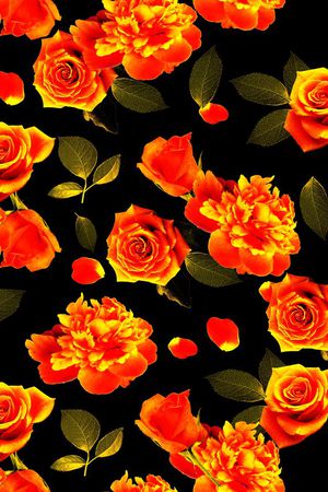 玫瑰印花华亿平台图片