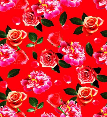 639574-玫瑰回位4