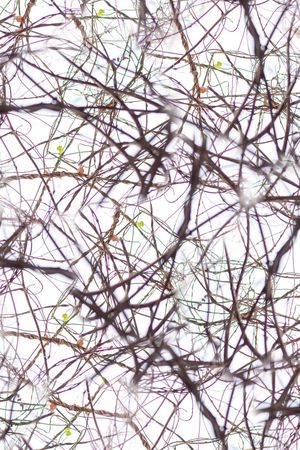 树枝印花华亿平台图片