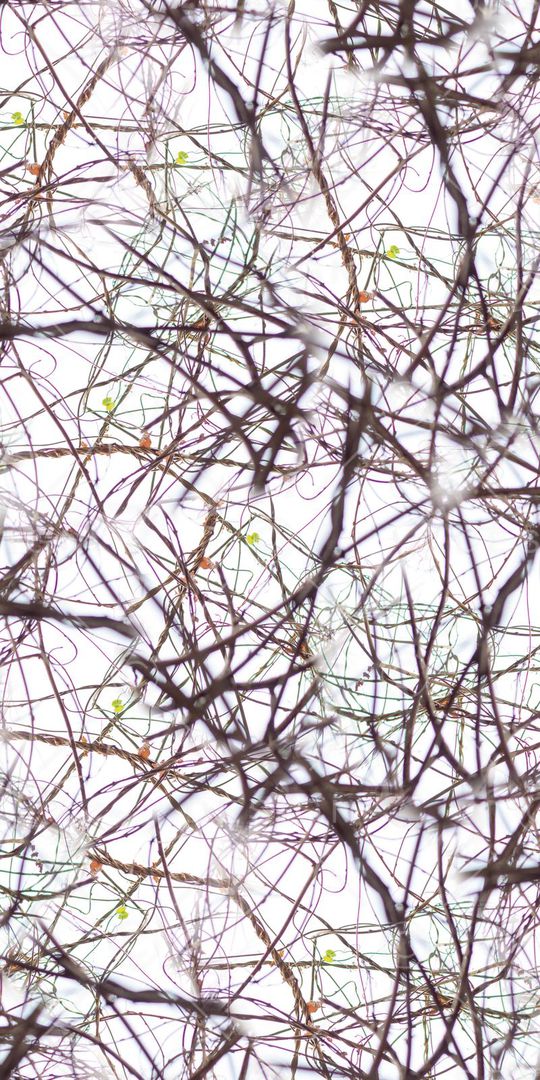 树枝印花华亿平台图片