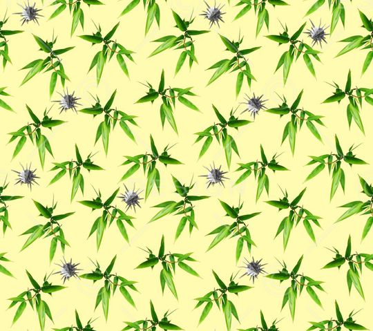 贝壳印花华亿平台图片