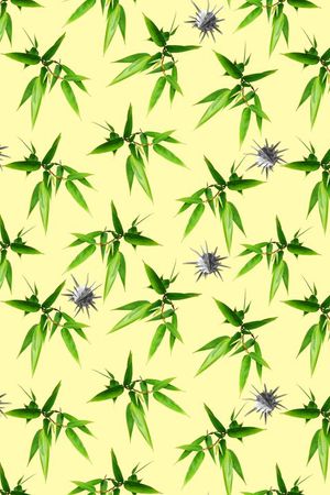 贝壳印花华亿平台图片