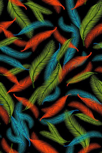 639942-160527羽毛棕榈叶-3