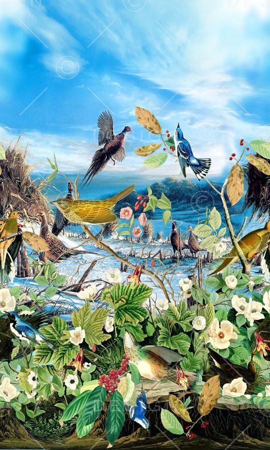 风景印花华亿平台图片