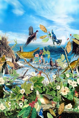 风景印花华亿平台图片