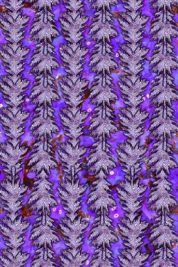 640051-时尚豹纹松树纹理1