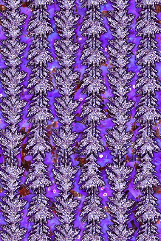 时尚男女装印花华亿平台图片